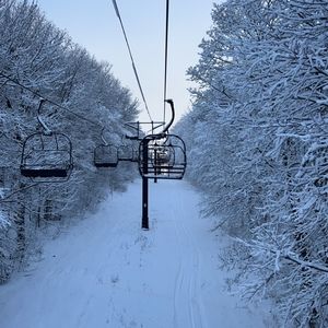 Meet your Posher, Dylan